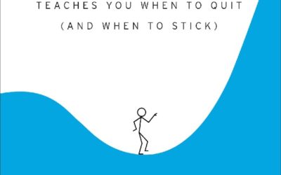 The Dip. El libro que te ayudará a reconocer y superar el abismo.